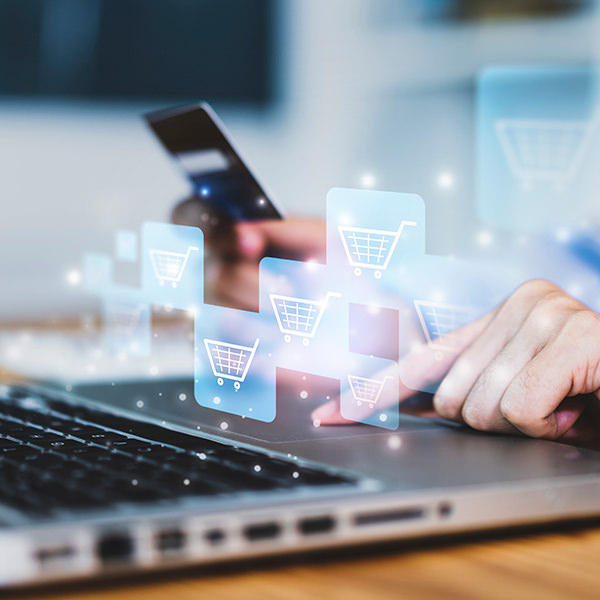 ECHO Datacenter E-Commerce Header ECHO Datacenter SAP Header
